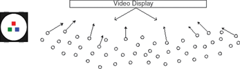 Figure 7. Example of centred screen with viewers in one direction within a 120&deg; angle around the display